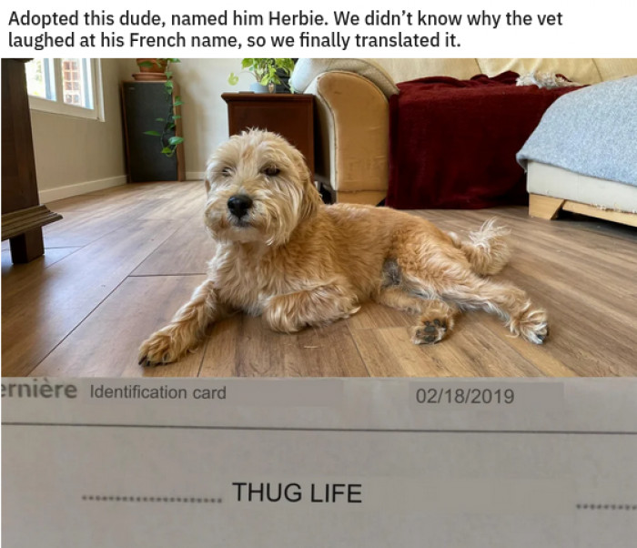 7. "Come and take a walk in my shoes if you can"