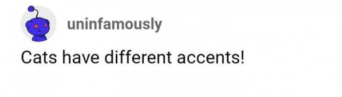 Dogs and cats have accents, too