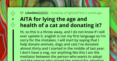 Mediator In Animal Adoptions Faces Backlash Over Cat's Misrepresented Health And Age