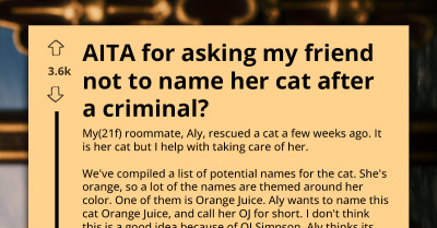 Roommate Refuses To Back Down Over Cat Name