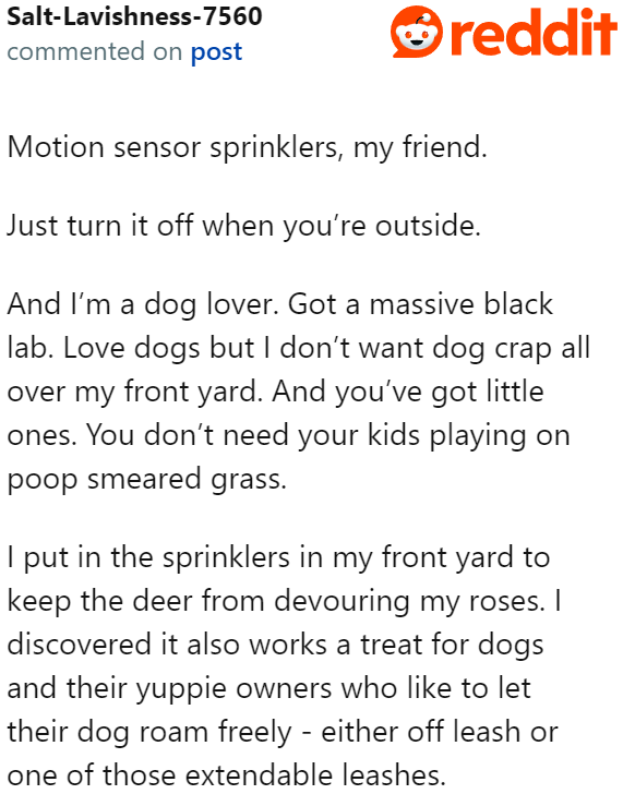 If the fences won't work, maybe motion sensor sprinklers will. They should keep the dog away.