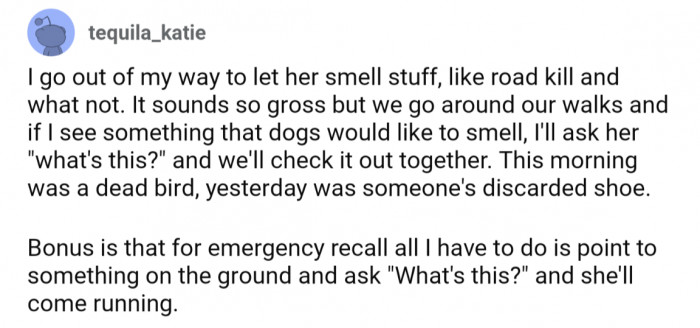 10. Walkies include plenty of time to smell ALL THE THINGS