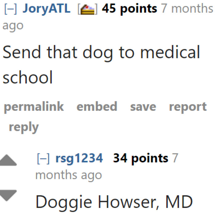Doggie Howser