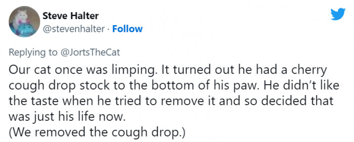 14. This cat has accepted his fate.