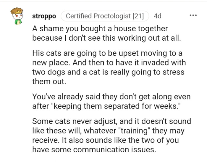 A cat is really going to stress them out