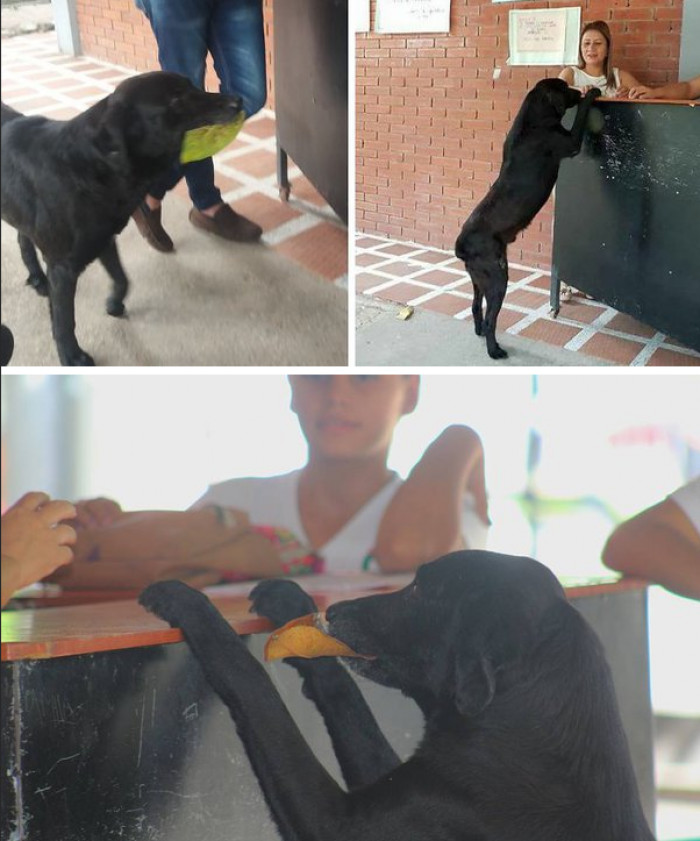 Negro uses his own currency.