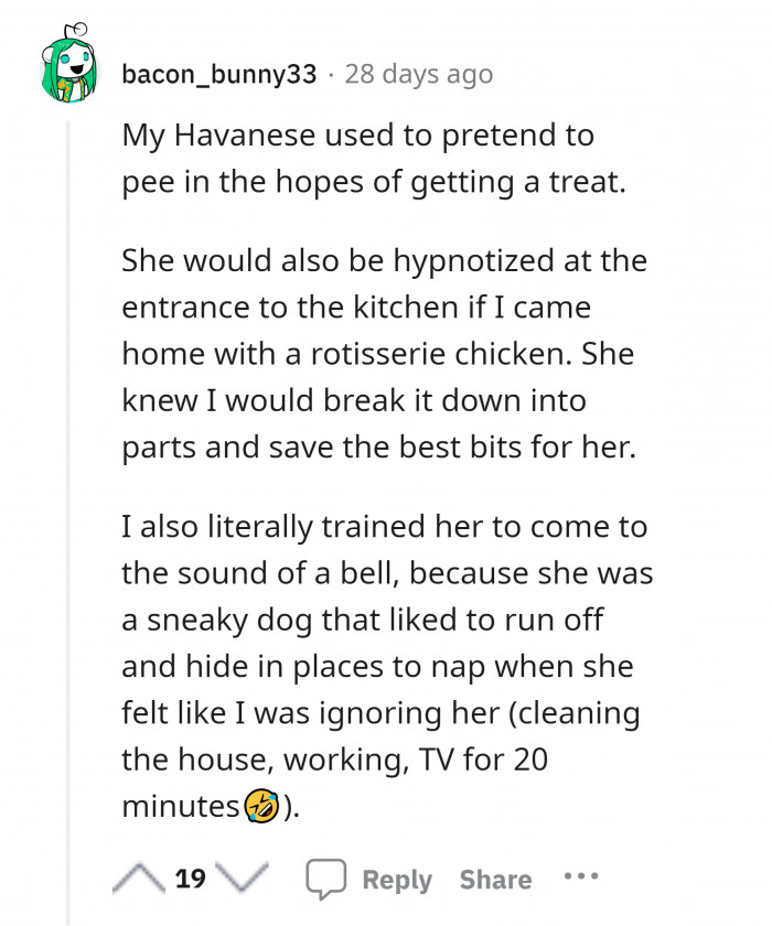 20. I will do everything for the treat.