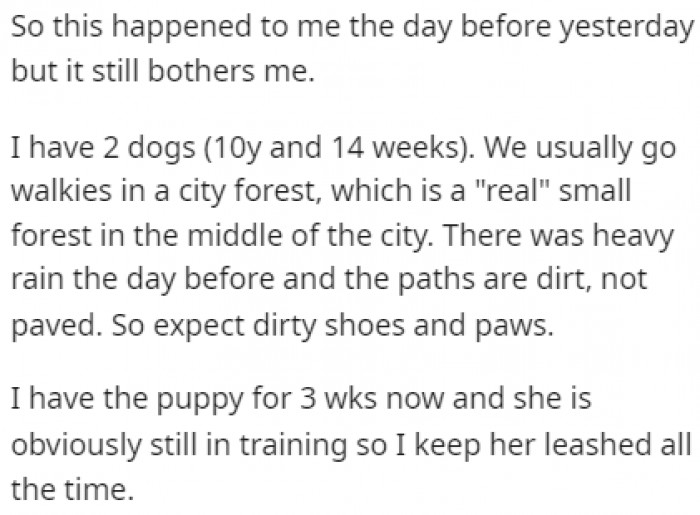 Dirty paws are something you should expect if you're walking around in a forest.