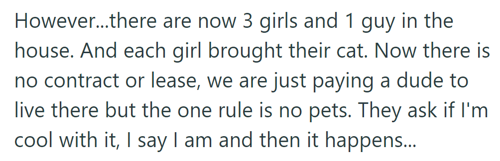 Despite no pets allowed, three girls move in with cats, disregarding the lease agreement.