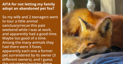 Man Vehemently Refuses To Allow His Family Adopt An Abandoned Fox