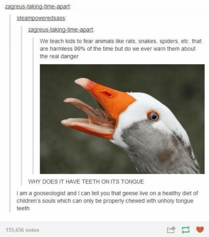 2. This right here is the real danger