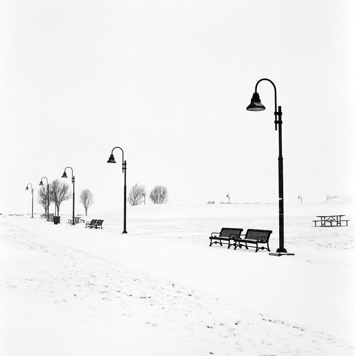 “Winter Study” By Jaroslaw Zola