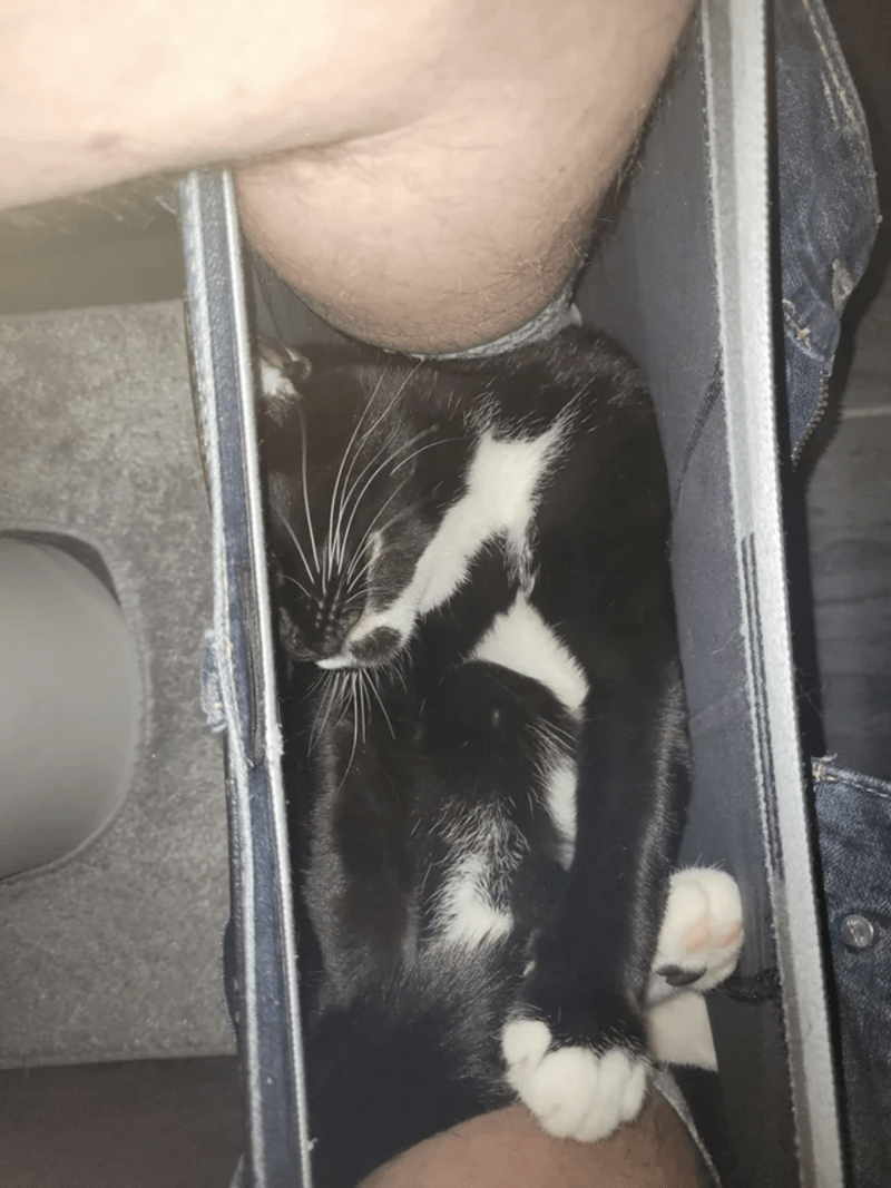 4. In what way are we going to complete any tasks in this manner?