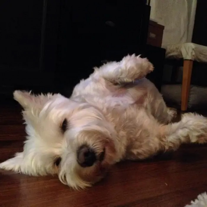 4. The softest of them all