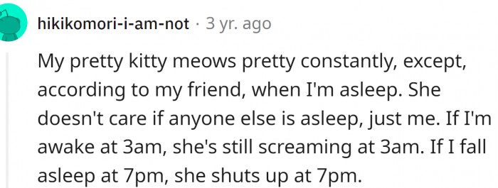 This cat clearly has its favorite person: