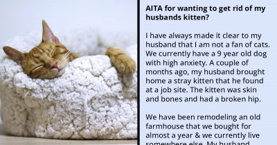 Redditor Wants To Get Rid Of Sick Kitten But Her Husband Refuses