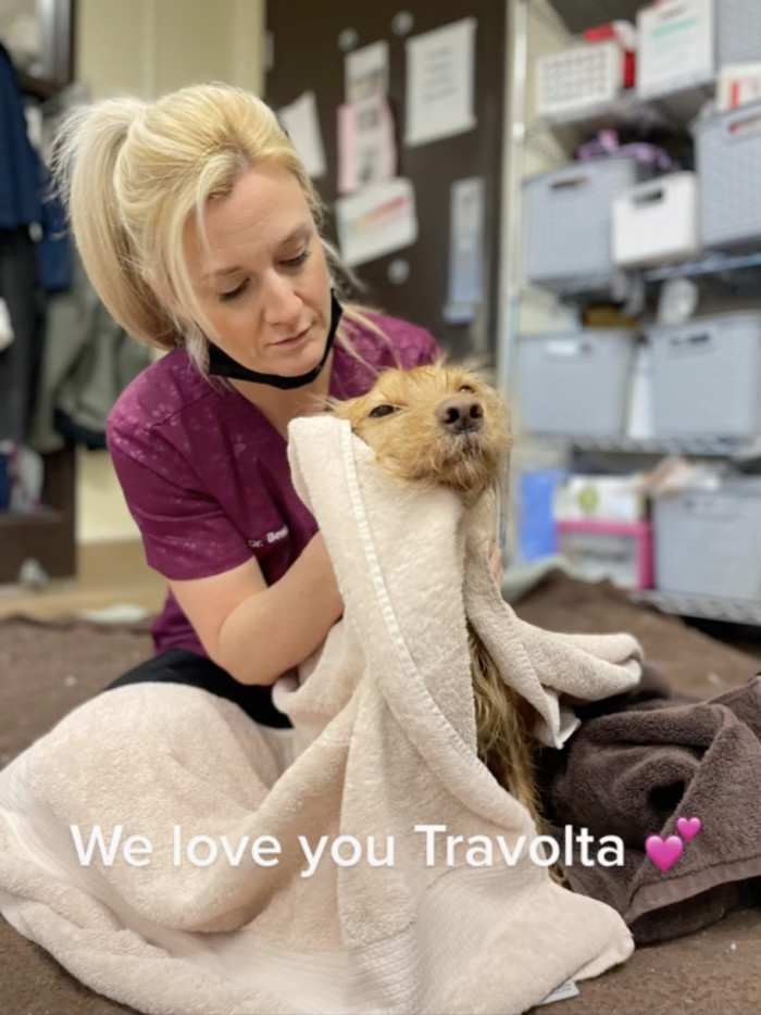 Travolta knows he's in good hands