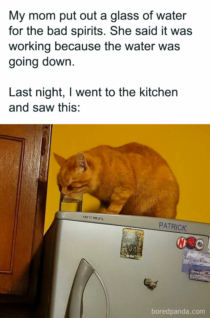 32. Now we have a culprit