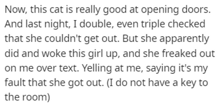 The cat managed to get out of her room and OP was blamed