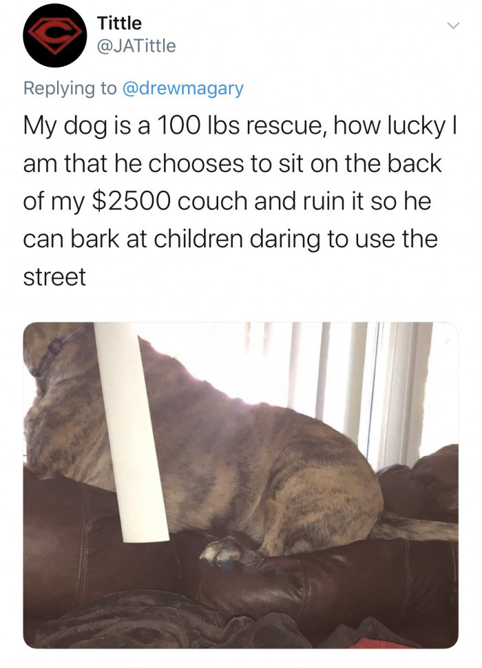 #8 If only his barking were worth a dollar too.