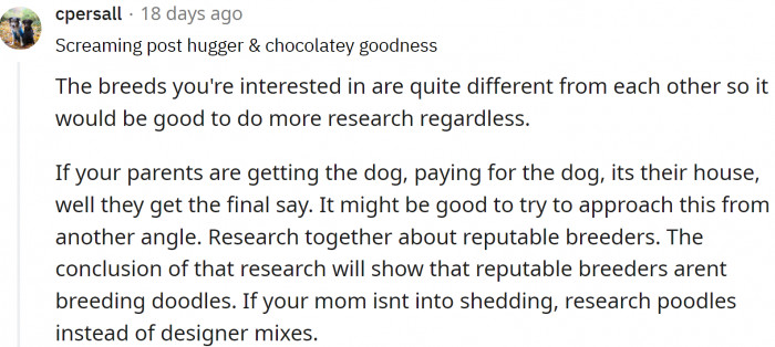 Redditors advised OP to conduct thorough research before committing to a breed because they are quite different from each other.