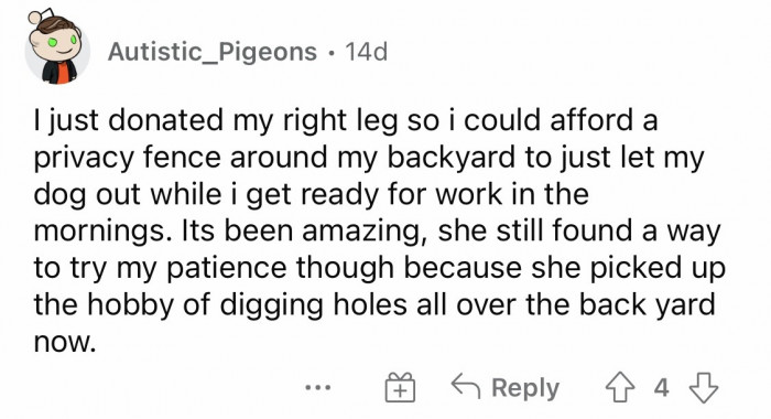 #19 Testing patience because of the dog's new hobby.