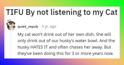 Cat Owner Notices Cat Behaving Strangely And Finds Out She Was Severely Dehydrated