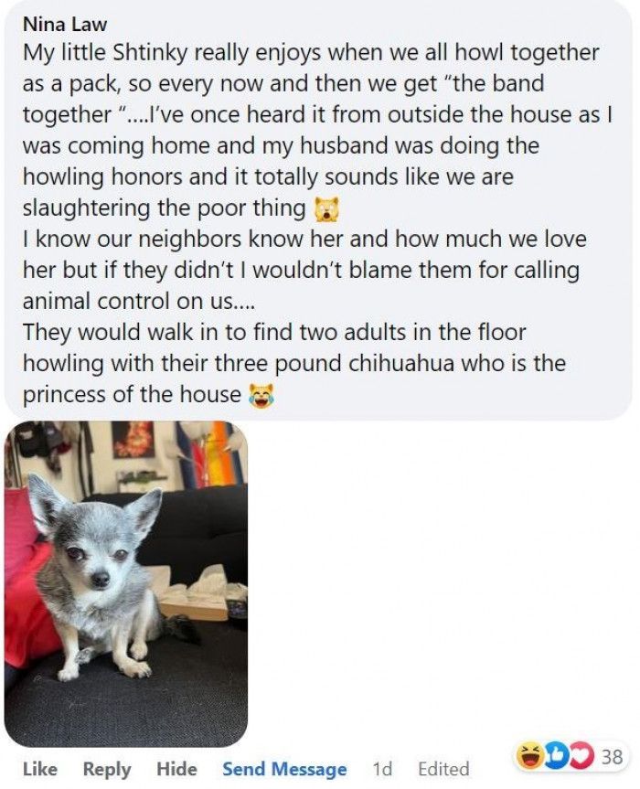 12. A family of “wolves.”