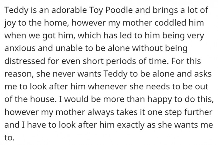 However, since a young age, the dog has been coddled, which has led to him getting easily distressed if left alone.