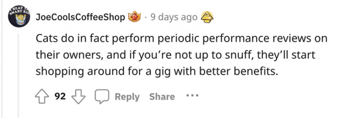 So, it's not just humans who are subjected to "Performance Reviews." Or shall we say... PURRformance reviews? Hmm?