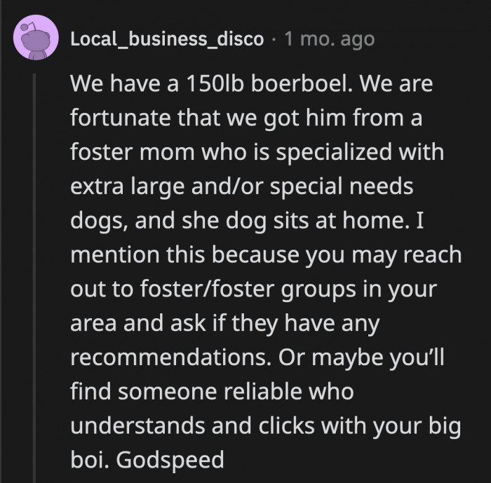 OP received several recommendations from fellow dog owners who found their pet sitters through reputable fosters