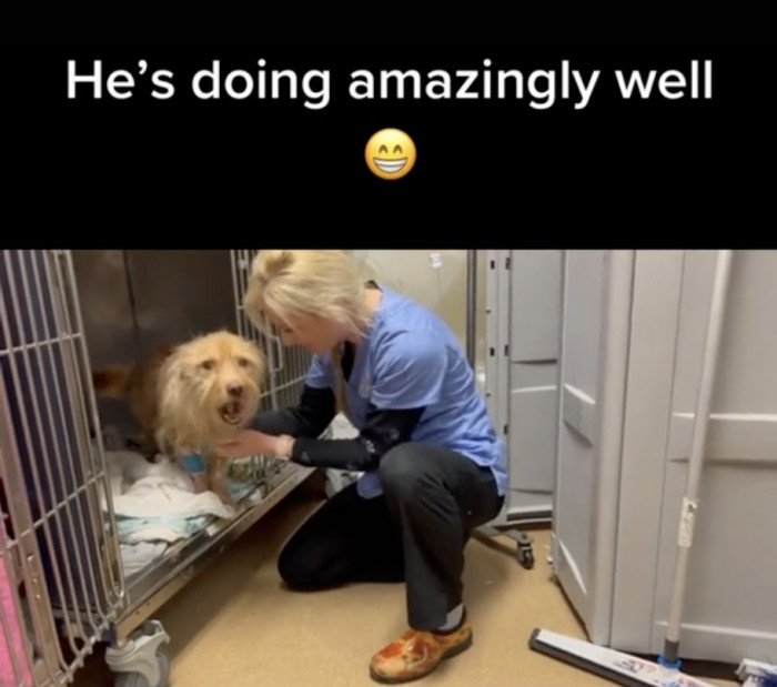 Dr. Bewley greets him first thing in the morning