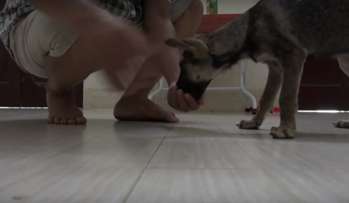 Once she had some food in her belly, she even wanted to play!