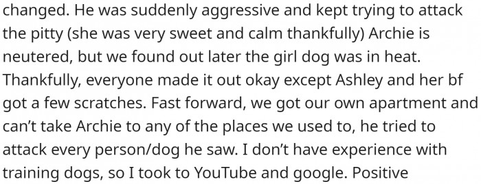 He Suddenly Became Aggressive. OP Tried to Curb That Aggression but Didn't Succeed.