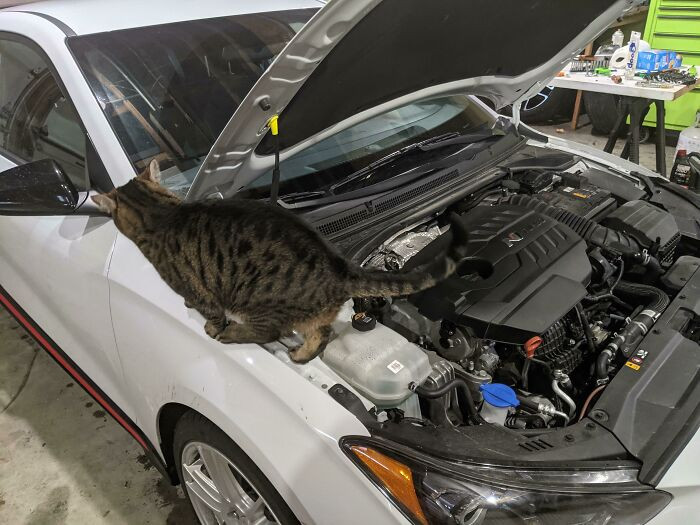 ”Supervisor Making Sure The Oil Change Goes Well”
