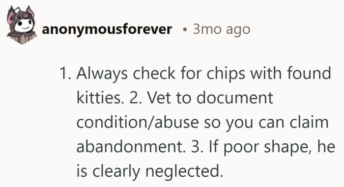 Step by step plan that treats found pets like little mysteries worth solving with care and documentation.