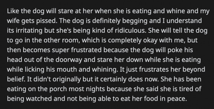 They also jump on the bed at 3 a.m. to wake her up every single night