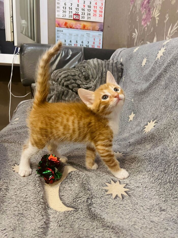 How Is He This Beautiful