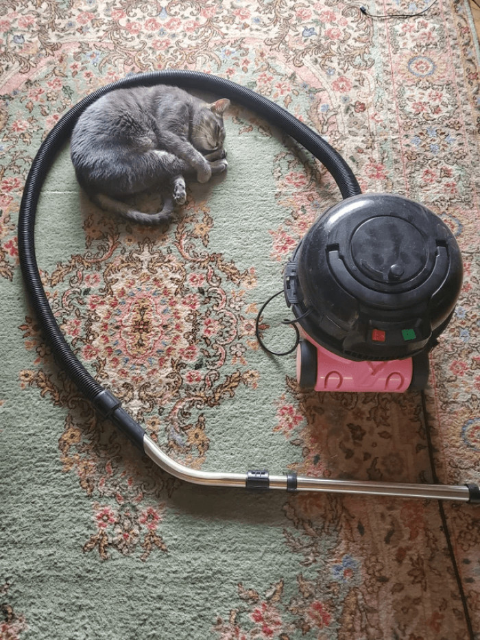 17. Sleeping soundly near the enemy