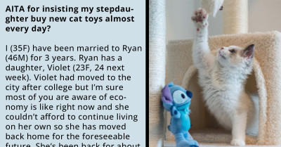 Mom Keeps Nagging Her Stepdaughter To Replace Her Cats' Toys Because The Stepdaughter's Dog Keeps Destroying Them