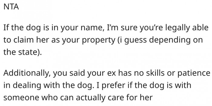 7. The dog should be with someone who can care for it.