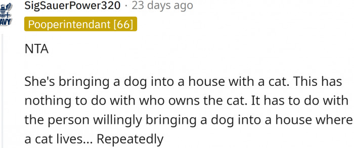"She's bringing a dog into a house with a cat."