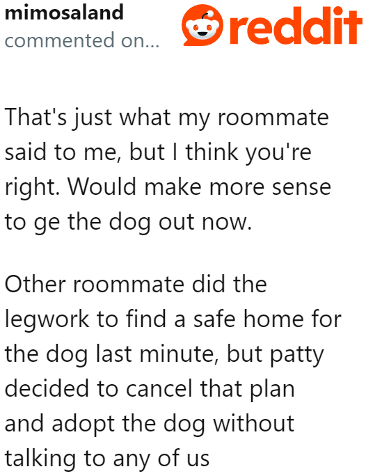 The Roommate Is Deciding on Her Own, Without Even Asking If the Other Roommates Are on Board with the Idea
