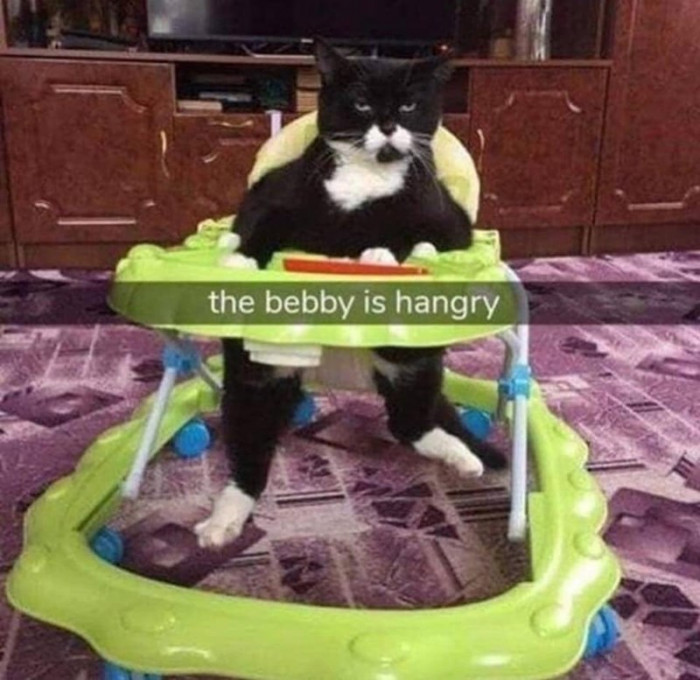 4. Hangry bebby is scary