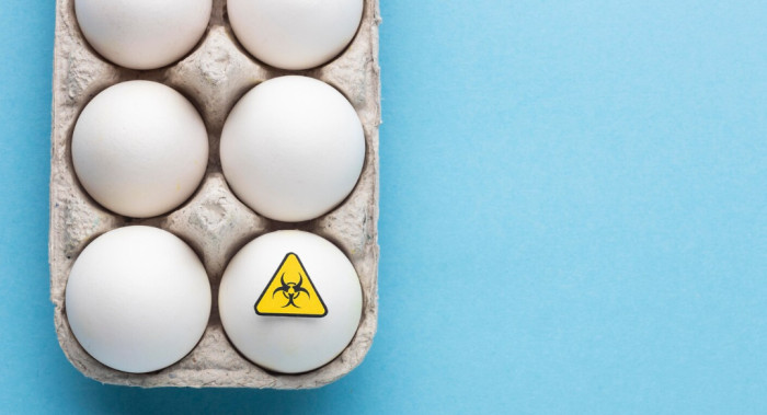 Allergy Considerations
