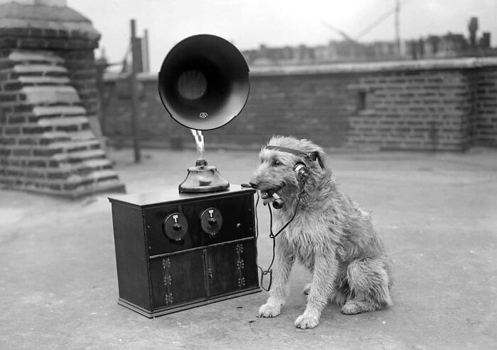 "A dog listens to the radio while enjoying a pipe in June 1929."