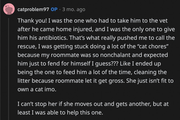 OP added that most of the tasks related to the cat fell on her because her roommate sort of expected the cat to survive by itself.