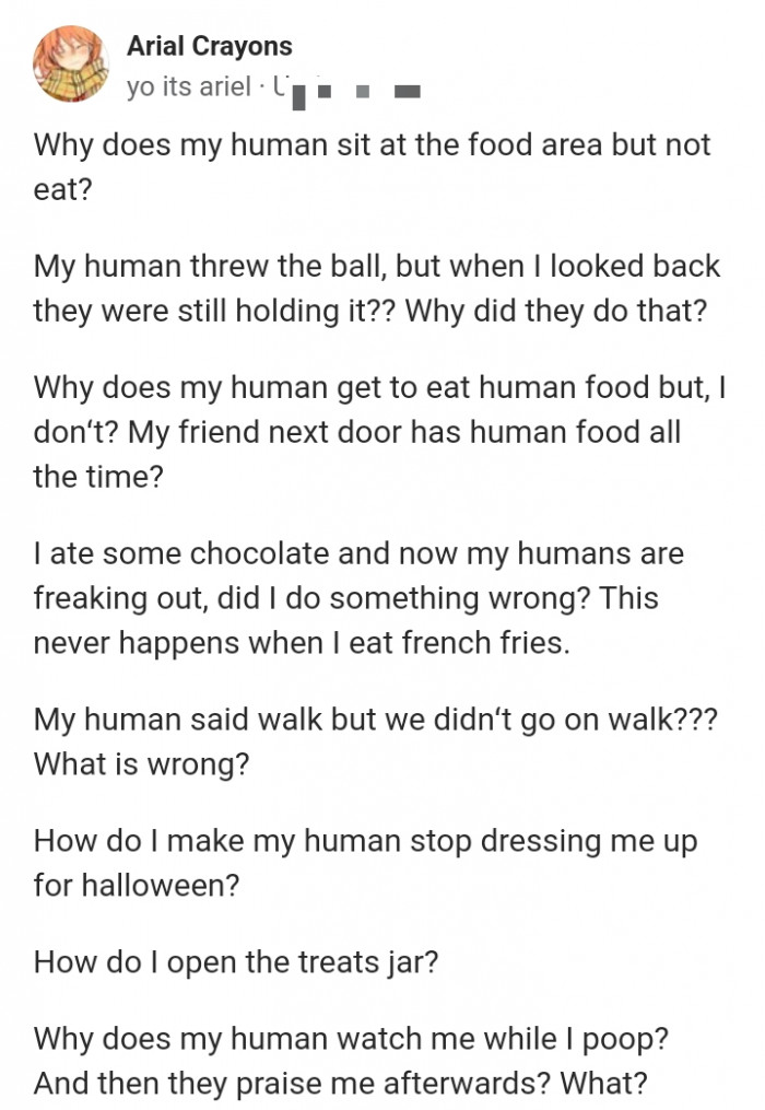 8. All about the human