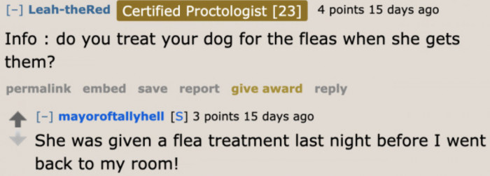 The dog was recently treated for fleas.