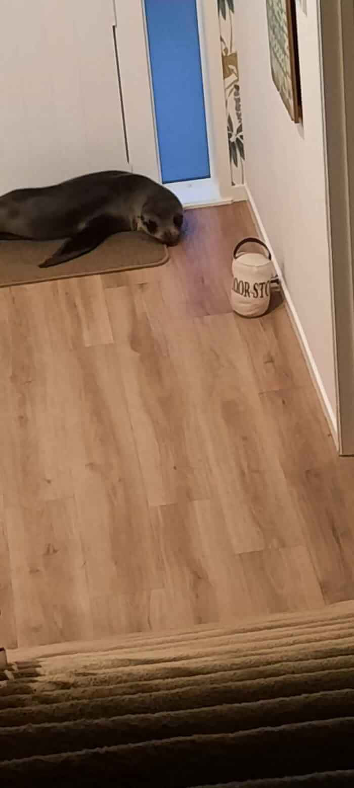 Good Thing He's Cute